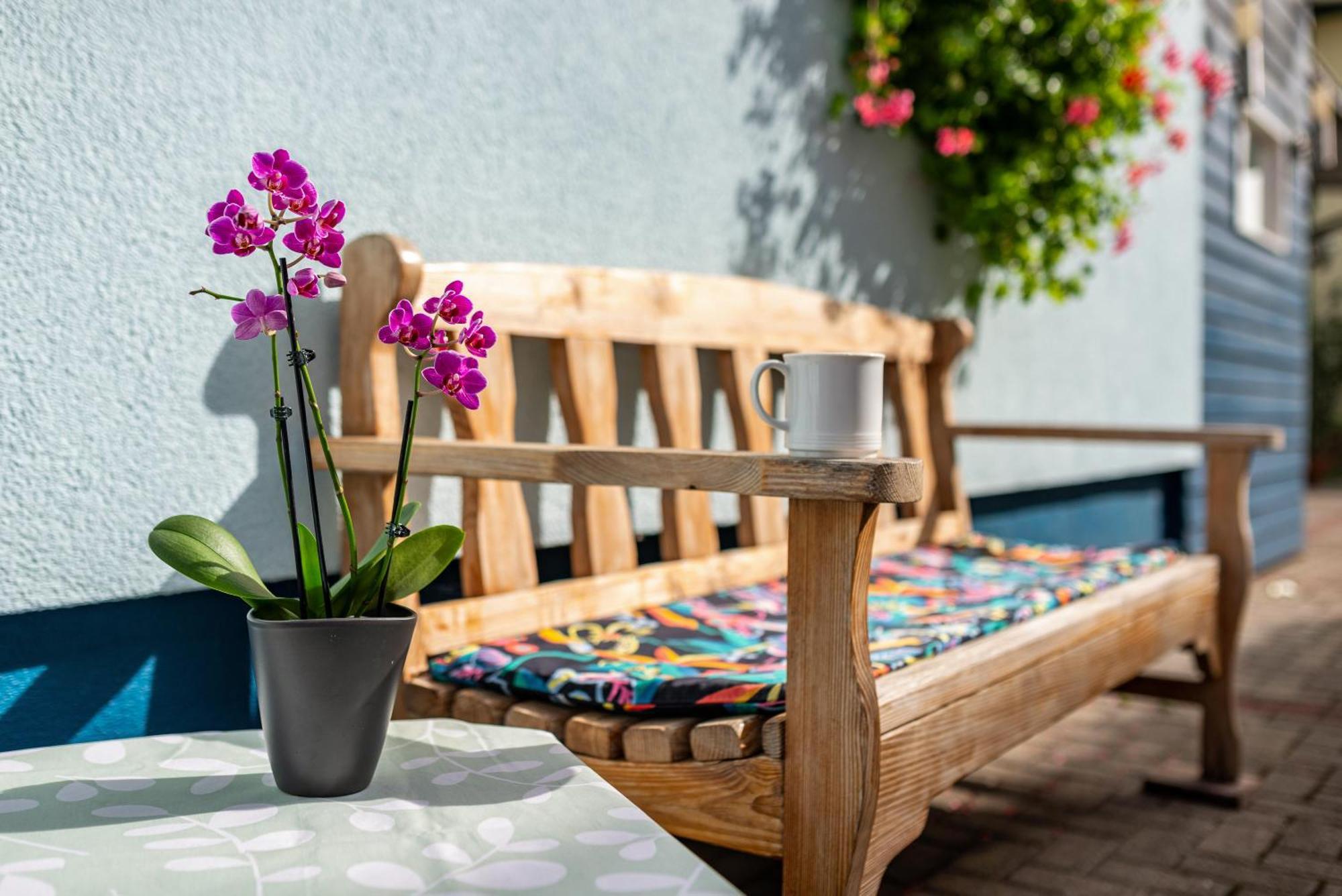 Ferienwohnung Blaues Haus Ubstadt-Weiher Ngoại thất bức ảnh